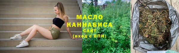 молекула духа Ельня